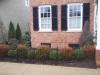 Landscape Maintenance