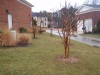 Landscape Maintenance